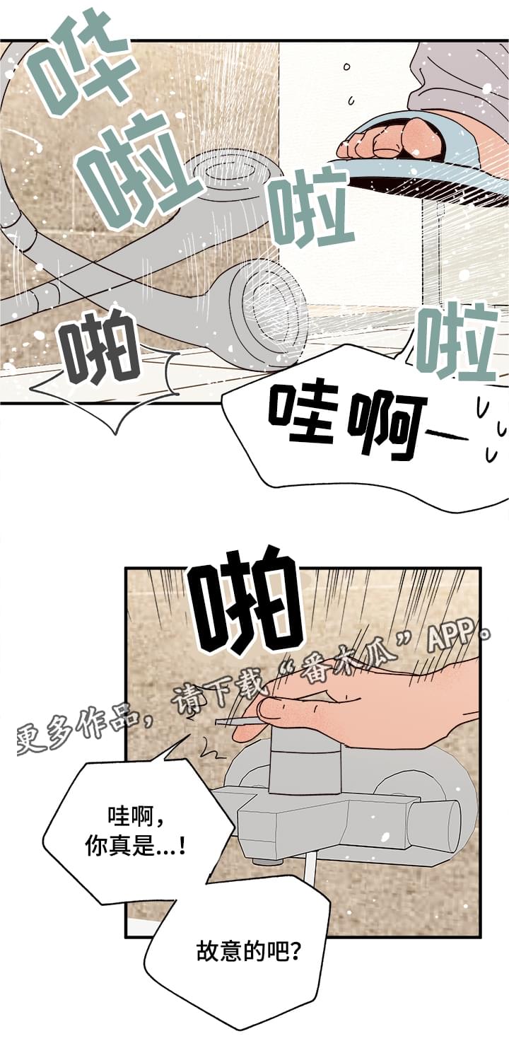 《爱宠攻略》漫画最新章节第14章：洗澡免费下拉式在线观看章节第【11】张图片