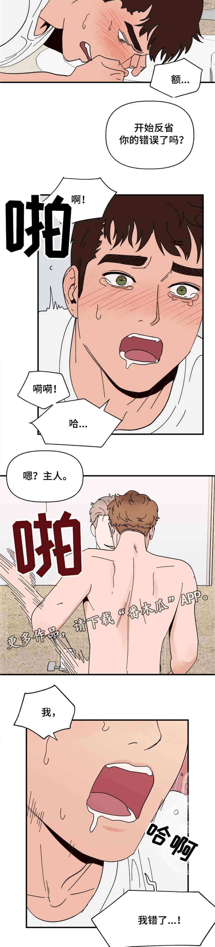 《爱宠攻略》漫画最新章节第16章：接受免费下拉式在线观看章节第【3】张图片