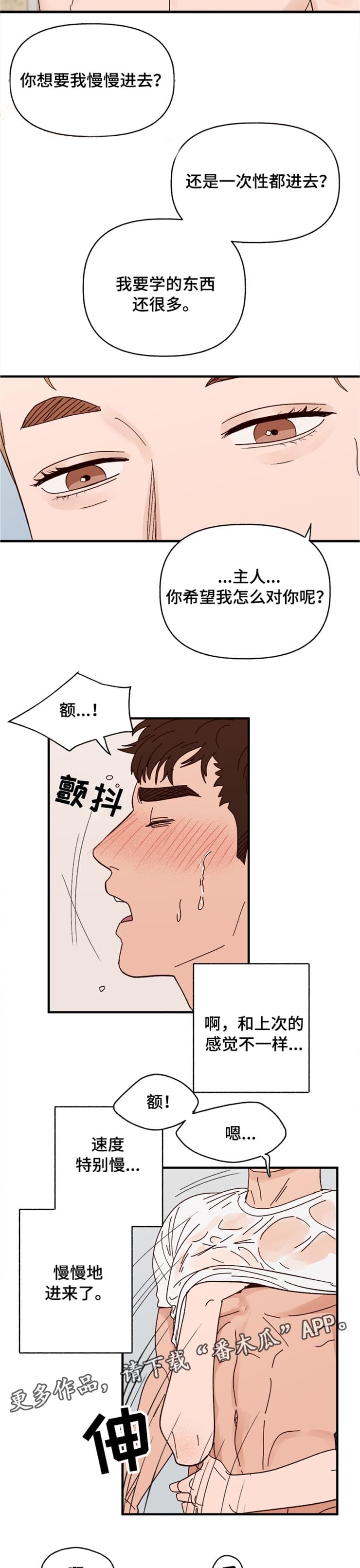 《爱宠攻略》漫画最新章节第17章：快坏掉了免费下拉式在线观看章节第【10】张图片