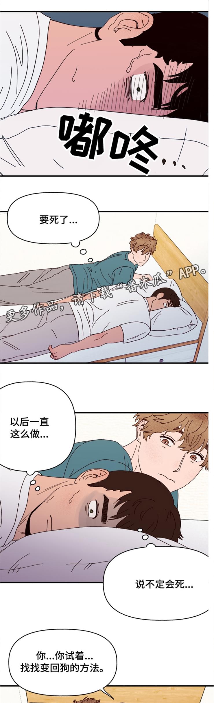 《爱宠攻略》漫画最新章节第18章：可爱的坏人免费下拉式在线观看章节第【8】张图片