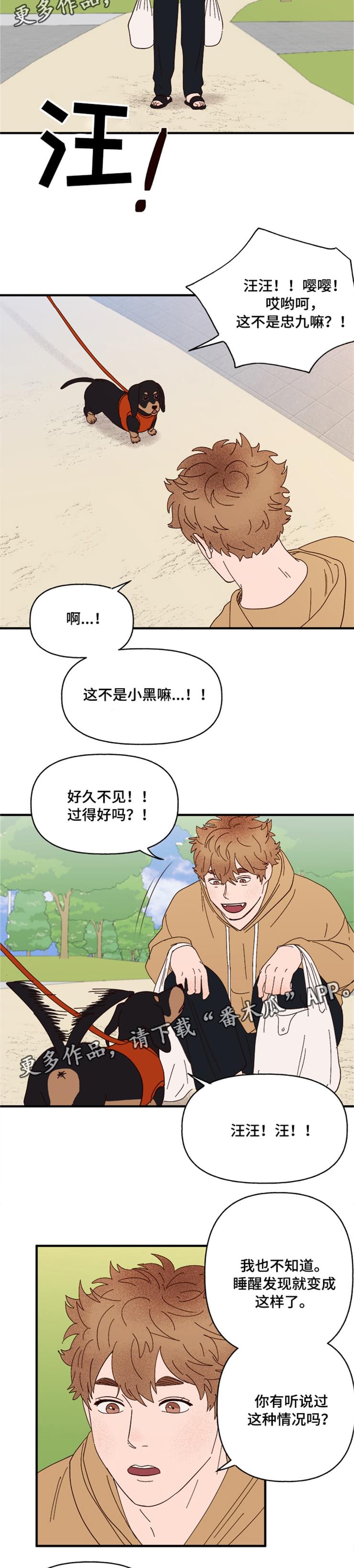 《爱宠攻略》漫画最新章节第19章：传说免费下拉式在线观看章节第【4】张图片