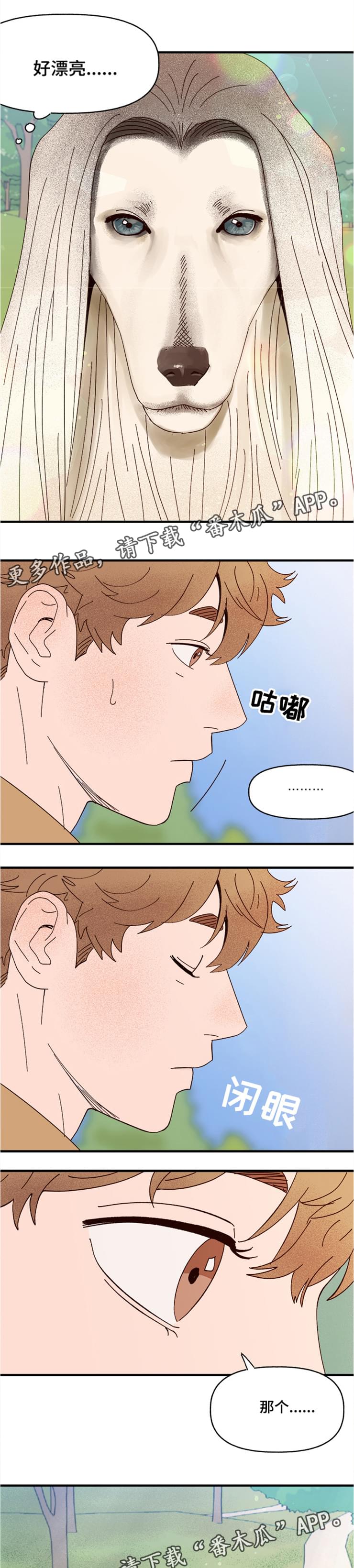 《爱宠攻略》漫画最新章节第19章：传说免费下拉式在线观看章节第【6】张图片