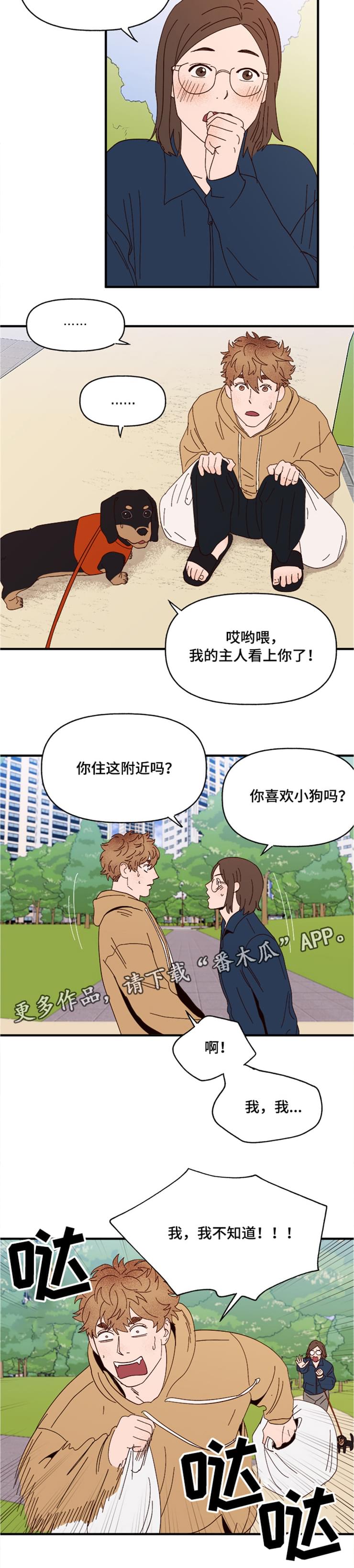 《爱宠攻略》漫画最新章节第19章：传说免费下拉式在线观看章节第【1】张图片