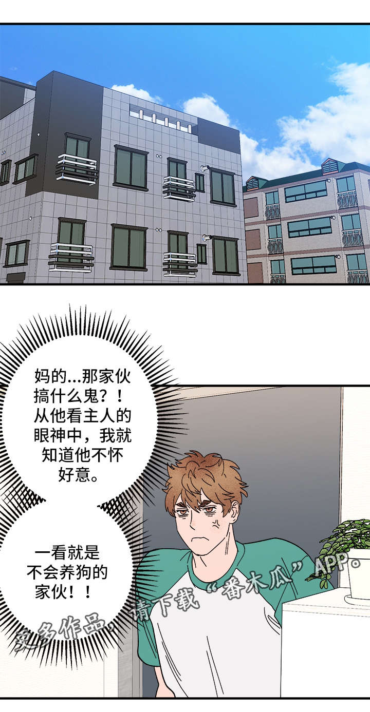 《爱宠攻略》漫画最新章节第26章：争风吃醋免费下拉式在线观看章节第【4】张图片