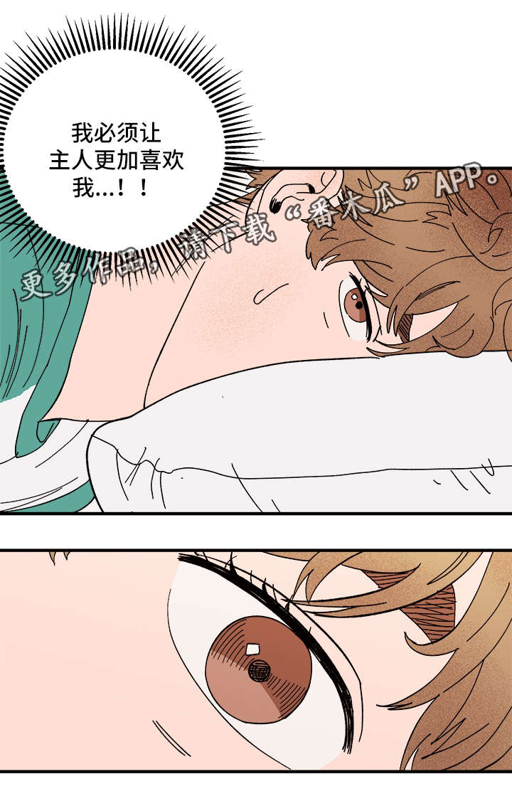 《爱宠攻略》漫画最新章节第26章：争风吃醋免费下拉式在线观看章节第【2】张图片