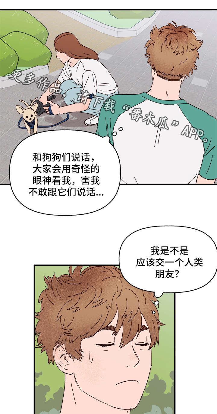 《爱宠攻略》漫画最新章节第26章：争风吃醋免费下拉式在线观看章节第【16】张图片