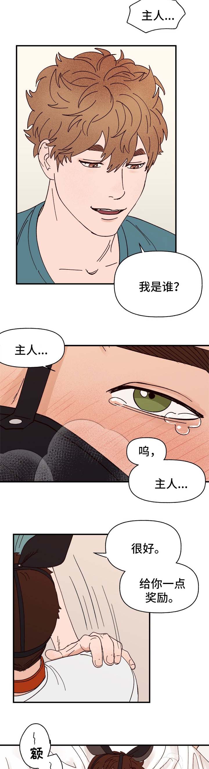 《爱宠攻略》漫画最新章节第29章：我是谁?免费下拉式在线观看章节第【4】张图片