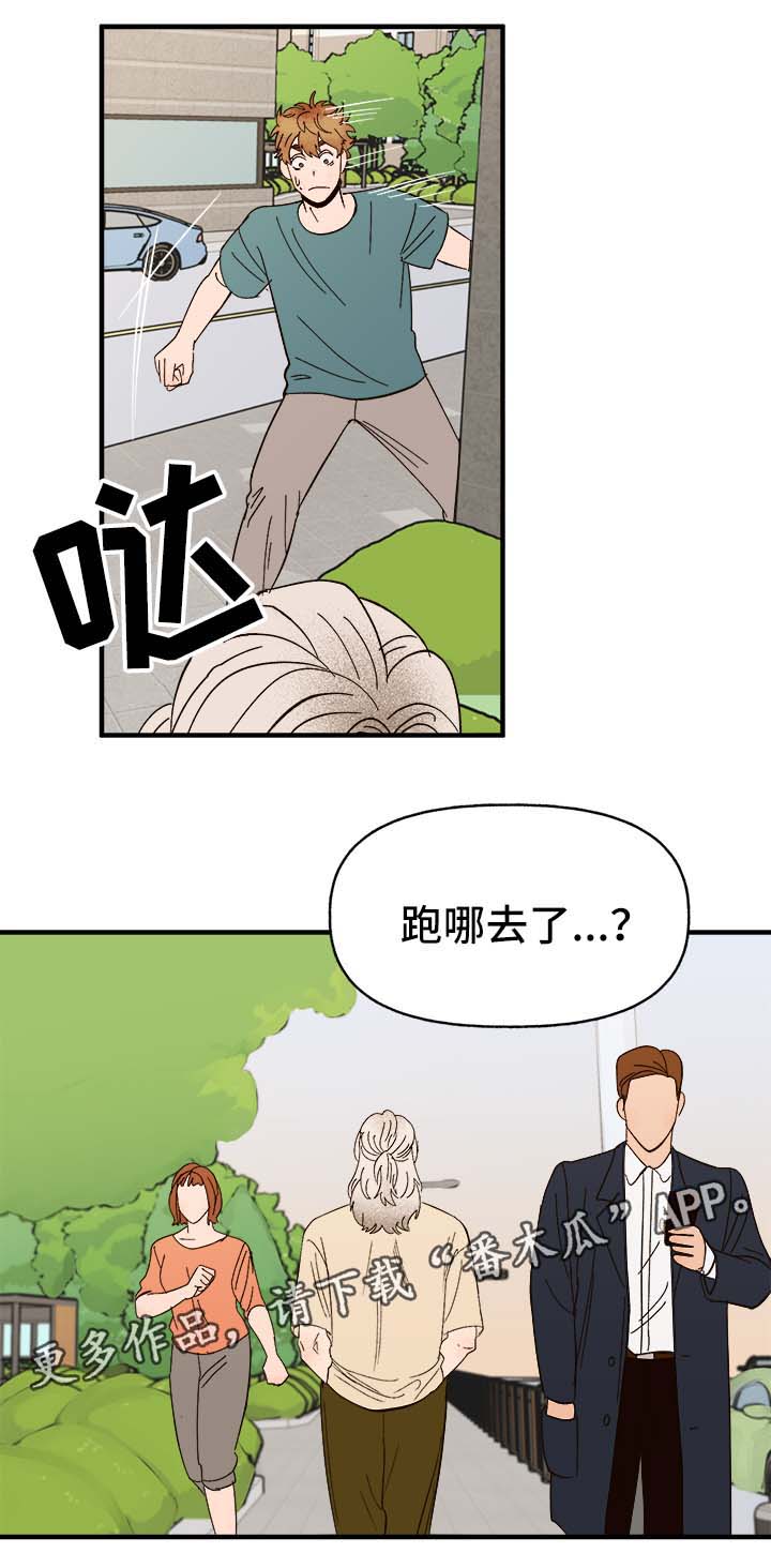 《爱宠攻略》漫画最新章节第33章：狗神免费下拉式在线观看章节第【9】张图片