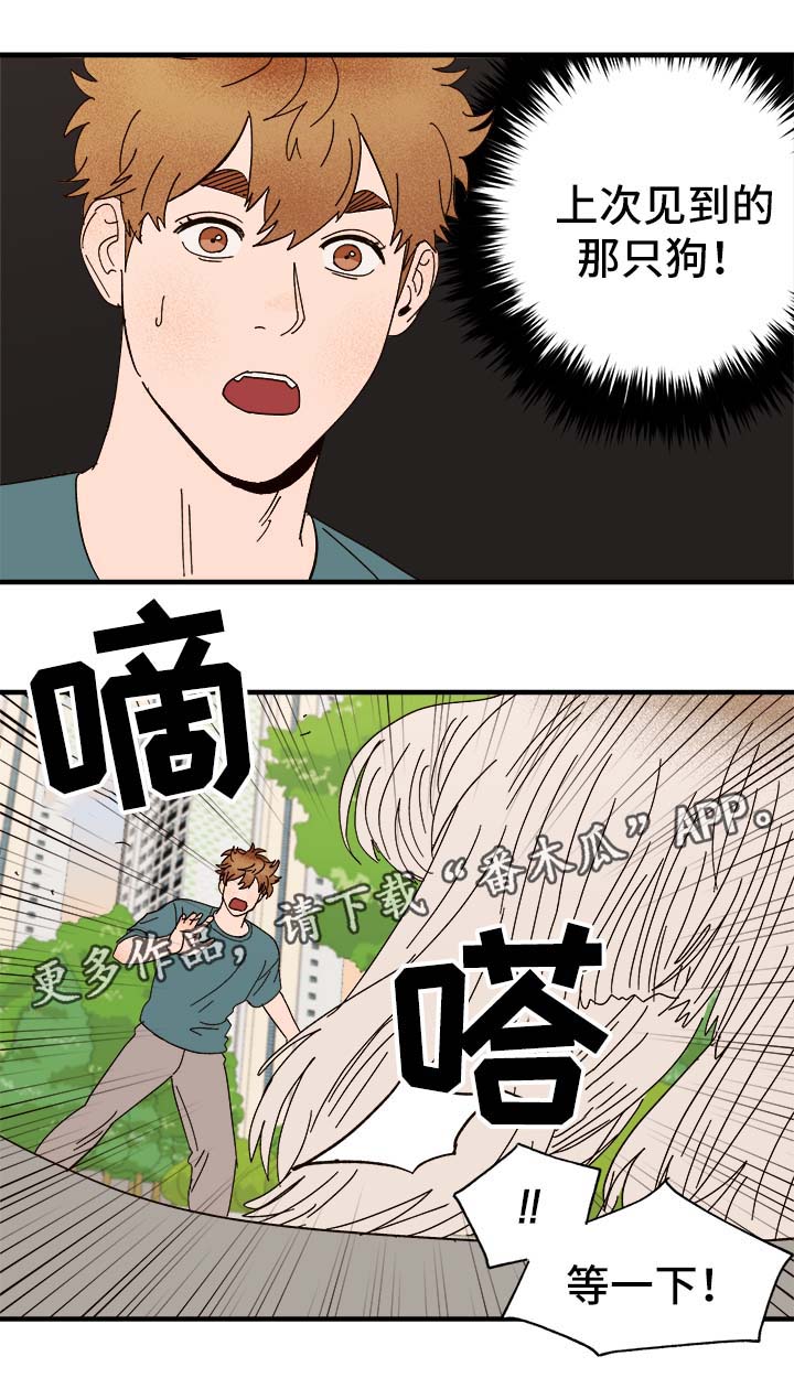 《爱宠攻略》漫画最新章节第33章：狗神免费下拉式在线观看章节第【11】张图片