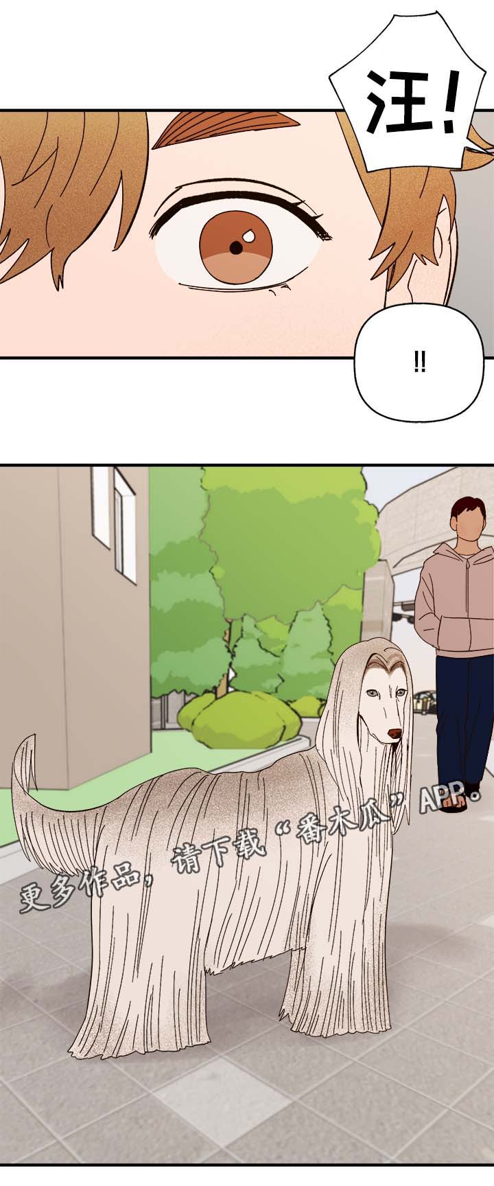 《爱宠攻略》漫画最新章节第33章：狗神免费下拉式在线观看章节第【12】张图片