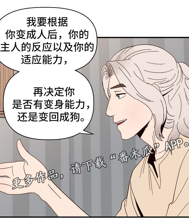 《爱宠攻略》漫画最新章节第34章：隐晦免费下拉式在线观看章节第【19】张图片