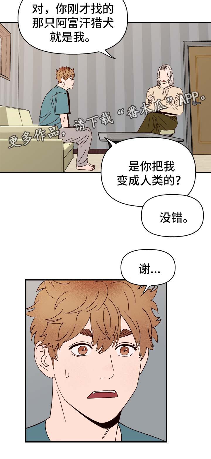 《爱宠攻略》漫画最新章节第34章：隐晦免费下拉式在线观看章节第【22】张图片