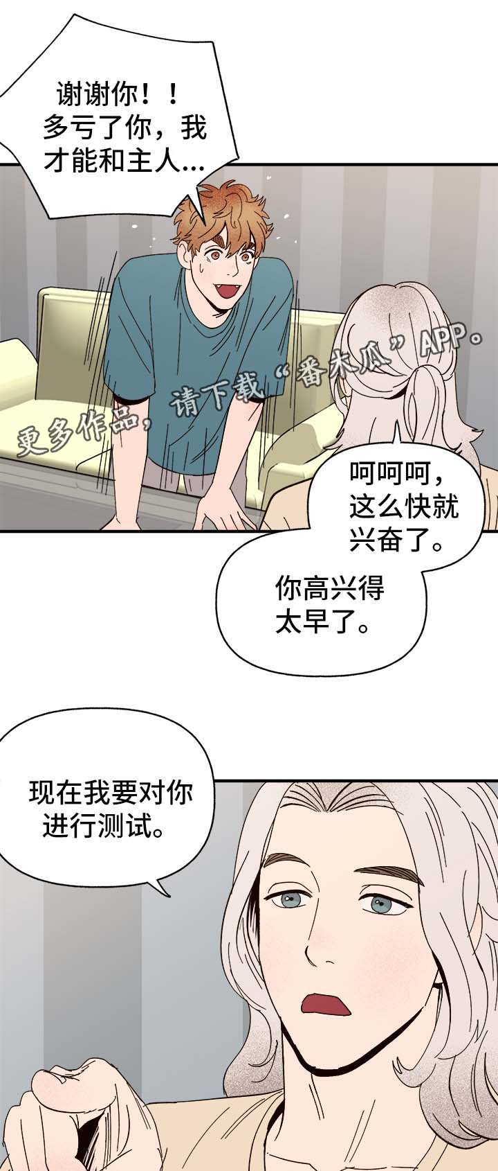 《爱宠攻略》漫画最新章节第34章：隐晦免费下拉式在线观看章节第【21】张图片