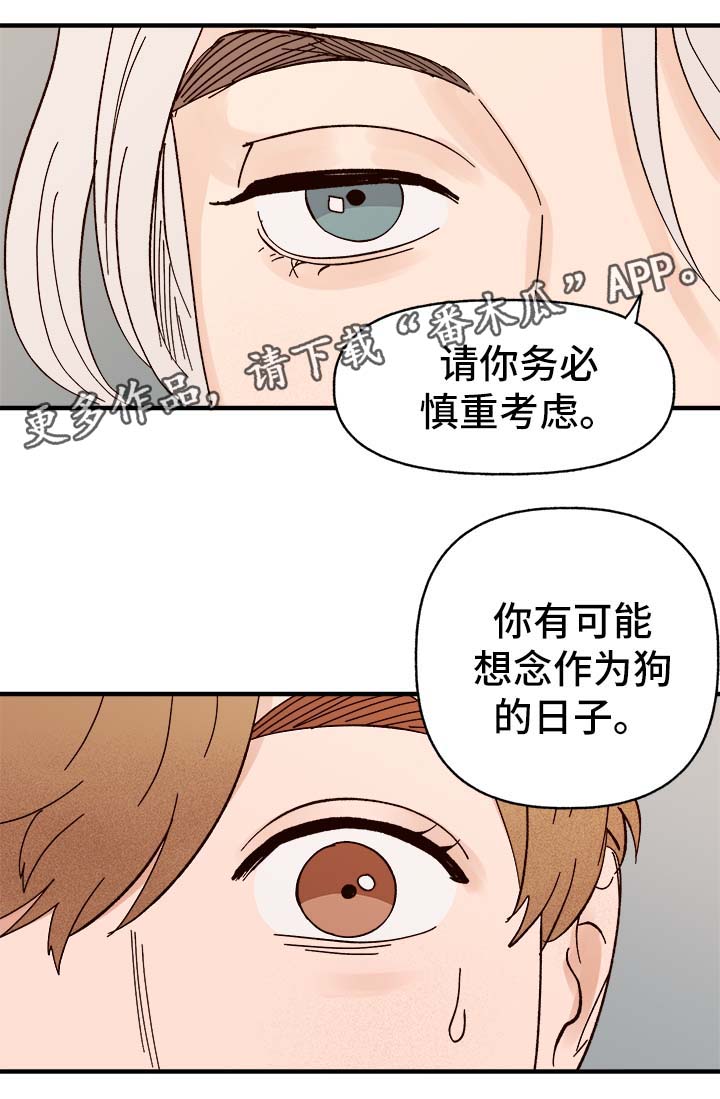 《爱宠攻略》漫画最新章节第34章：隐晦免费下拉式在线观看章节第【14】张图片