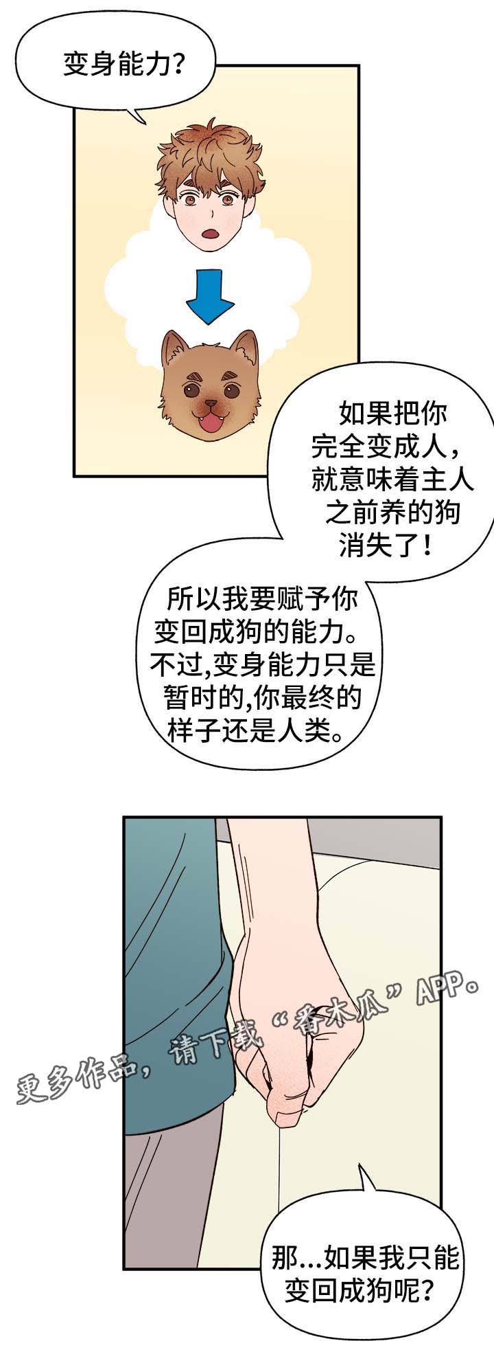 《爱宠攻略》漫画最新章节第34章：隐晦免费下拉式在线观看章节第【18】张图片