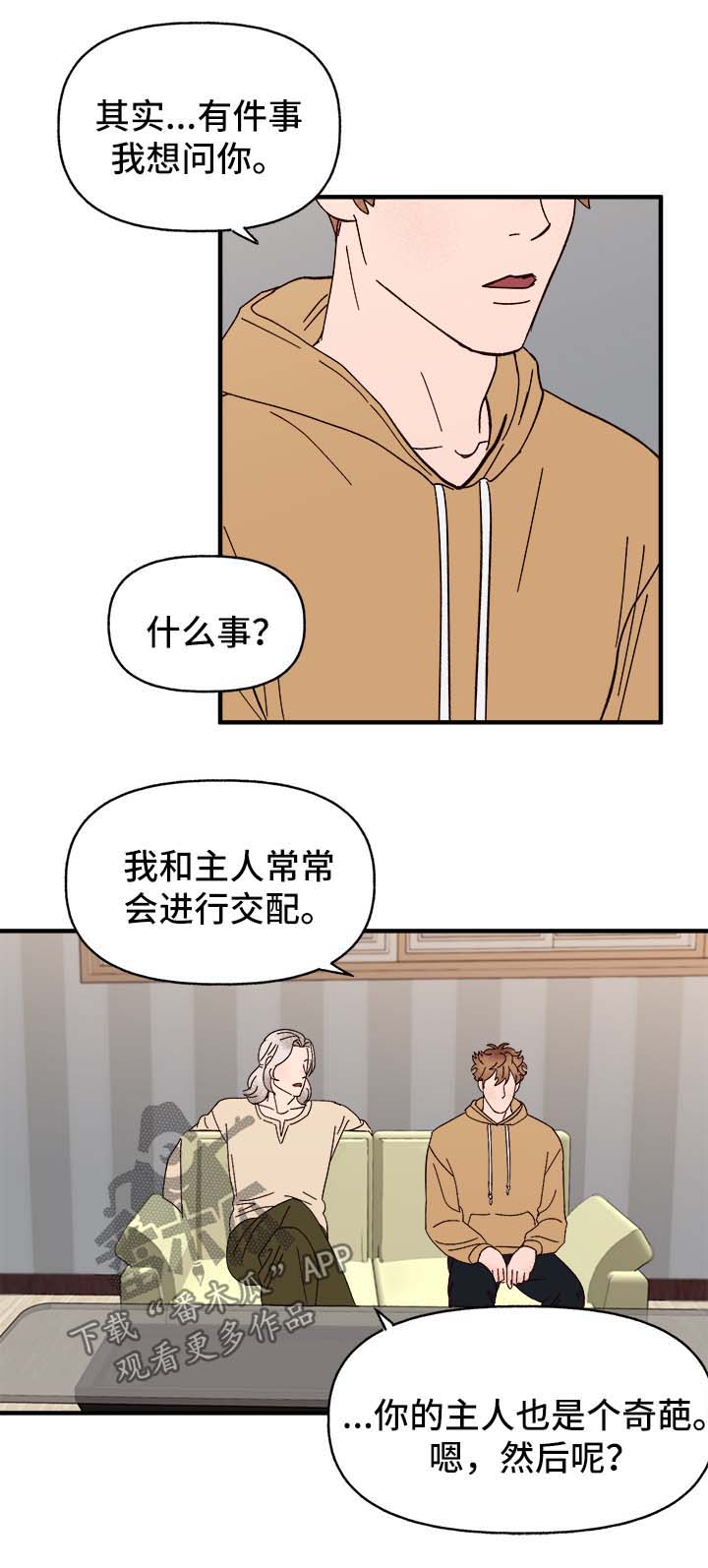 《爱宠攻略》漫画最新章节第37章：忠告免费下拉式在线观看章节第【11】张图片