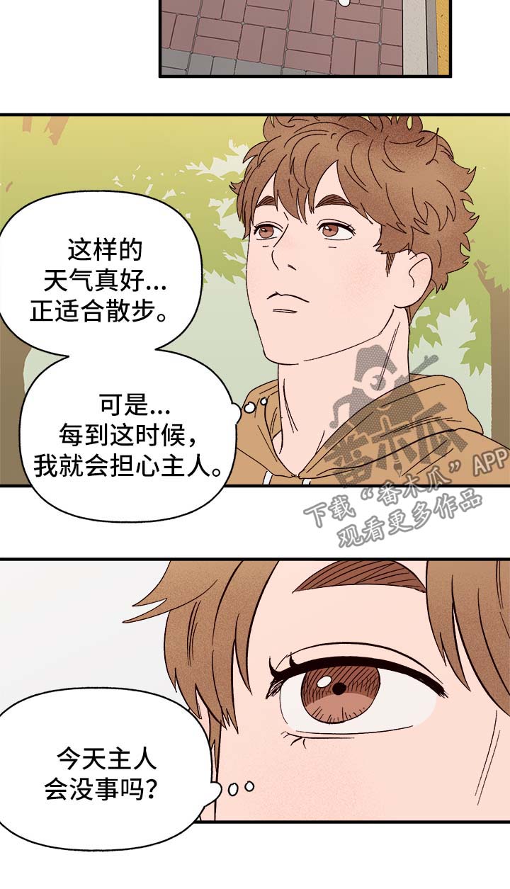 《爱宠攻略》漫画最新章节第37章：忠告免费下拉式在线观看章节第【19】张图片