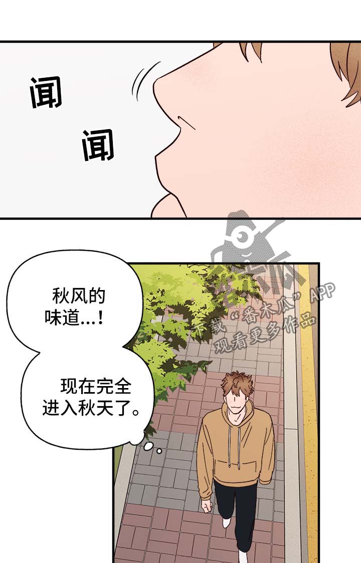 《爱宠攻略》漫画最新章节第37章：忠告免费下拉式在线观看章节第【20】张图片