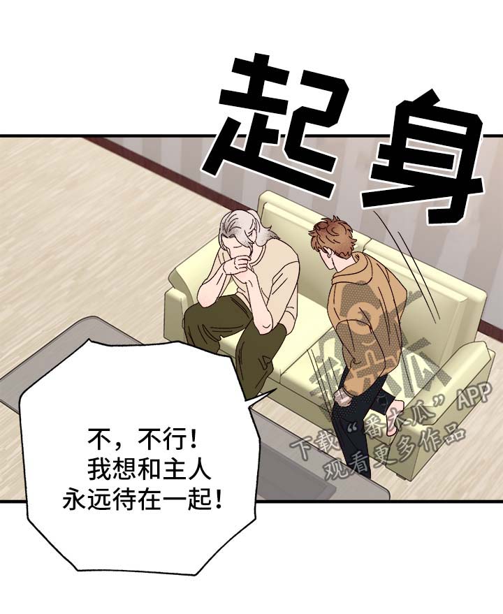 《爱宠攻略》漫画最新章节第37章：忠告免费下拉式在线观看章节第【3】张图片