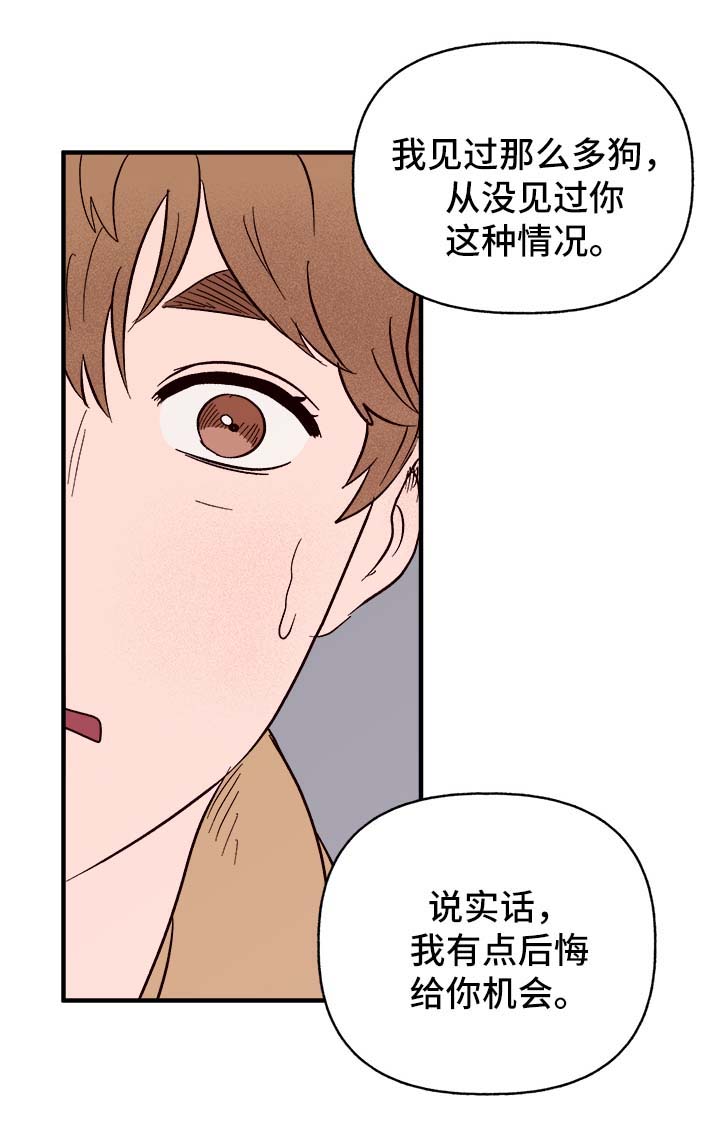 《爱宠攻略》漫画最新章节第37章：忠告免费下拉式在线观看章节第【4】张图片