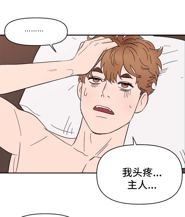 《爱宠攻略》漫画最新章节第40章：和我在一起免费下拉式在线观看章节第【7】张图片