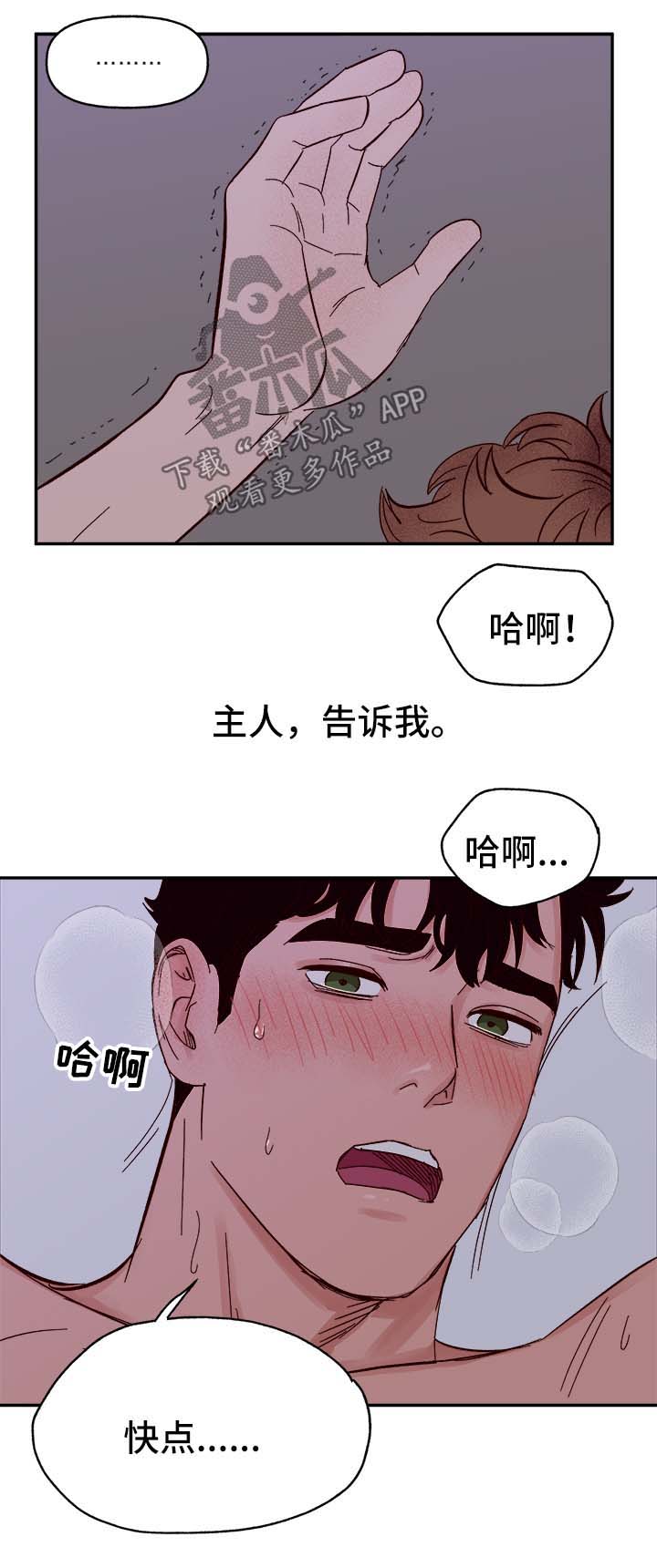 《爱宠攻略》漫画最新章节第40章：和我在一起免费下拉式在线观看章节第【13】张图片