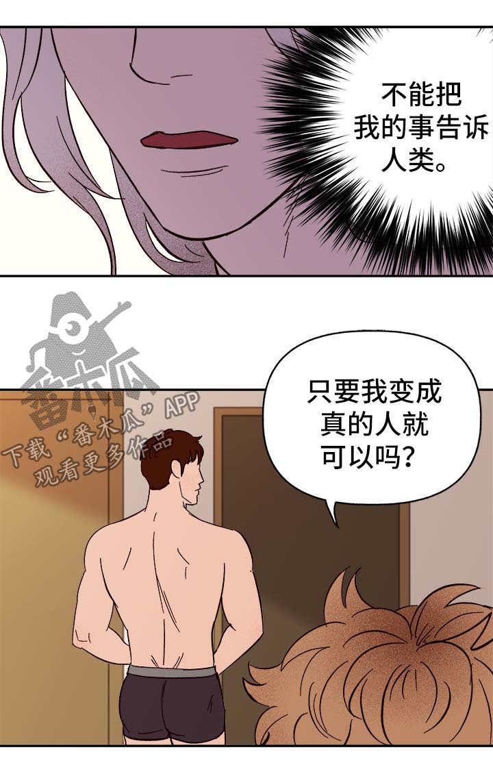 《爱宠攻略》漫画最新章节第41章：首先你是只狗免费下拉式在线观看章节第【15】张图片