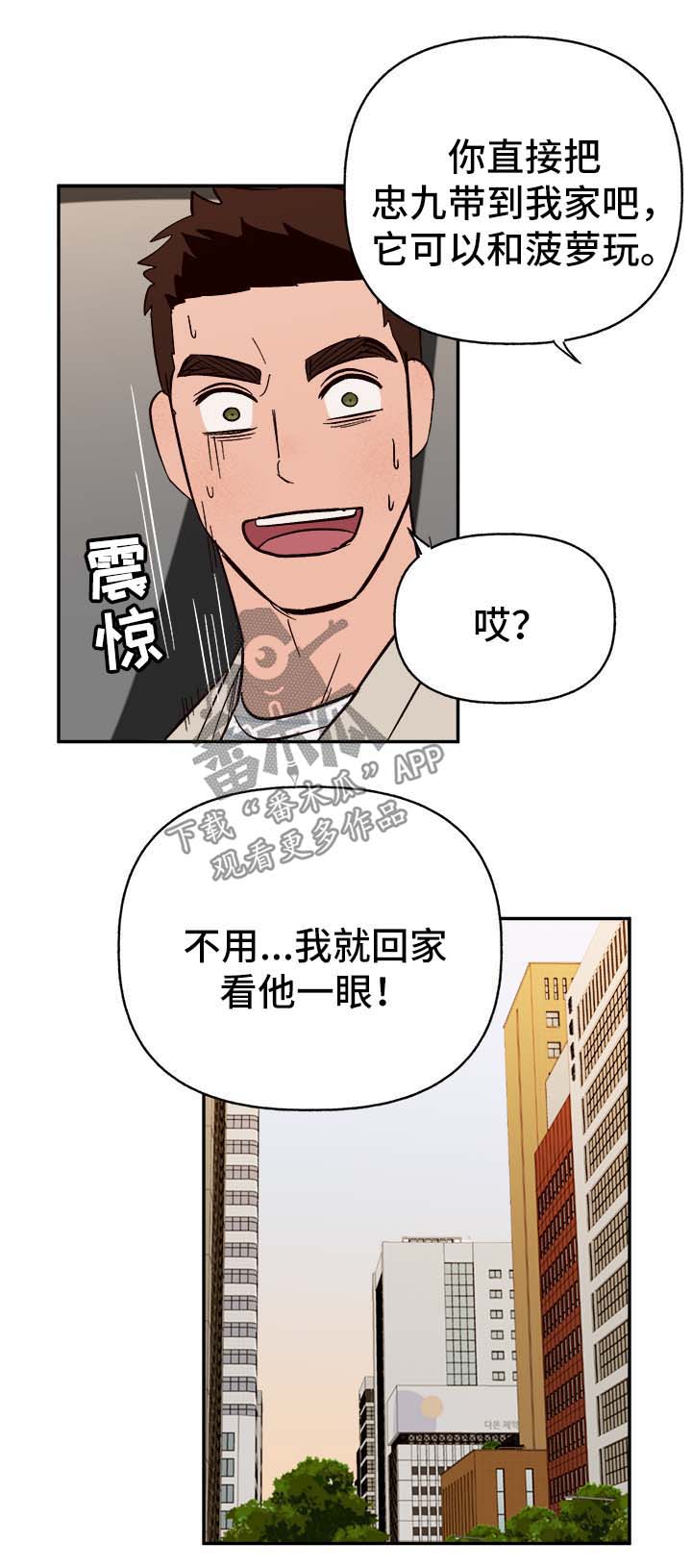 《爱宠攻略》漫画最新章节第42章：不对劲免费下拉式在线观看章节第【12】张图片