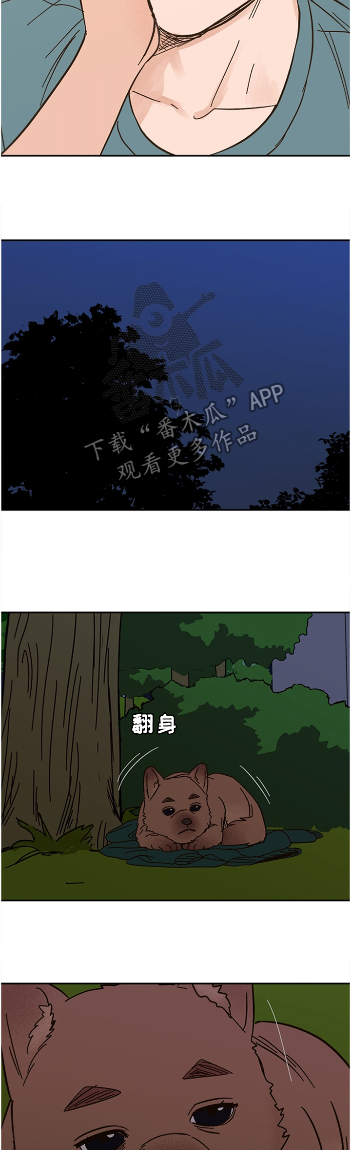 《爱宠攻略》漫画最新章节第55章：这样的结果免费下拉式在线观看章节第【2】张图片