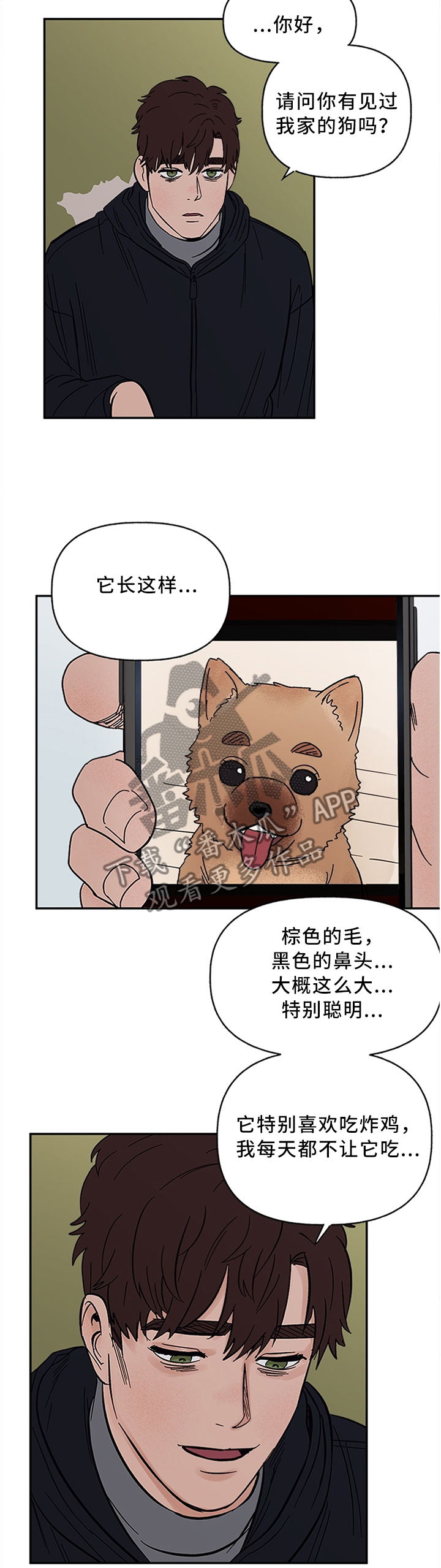 爱宠攻略-第62章：失去主人的”狗”全彩韩漫标签