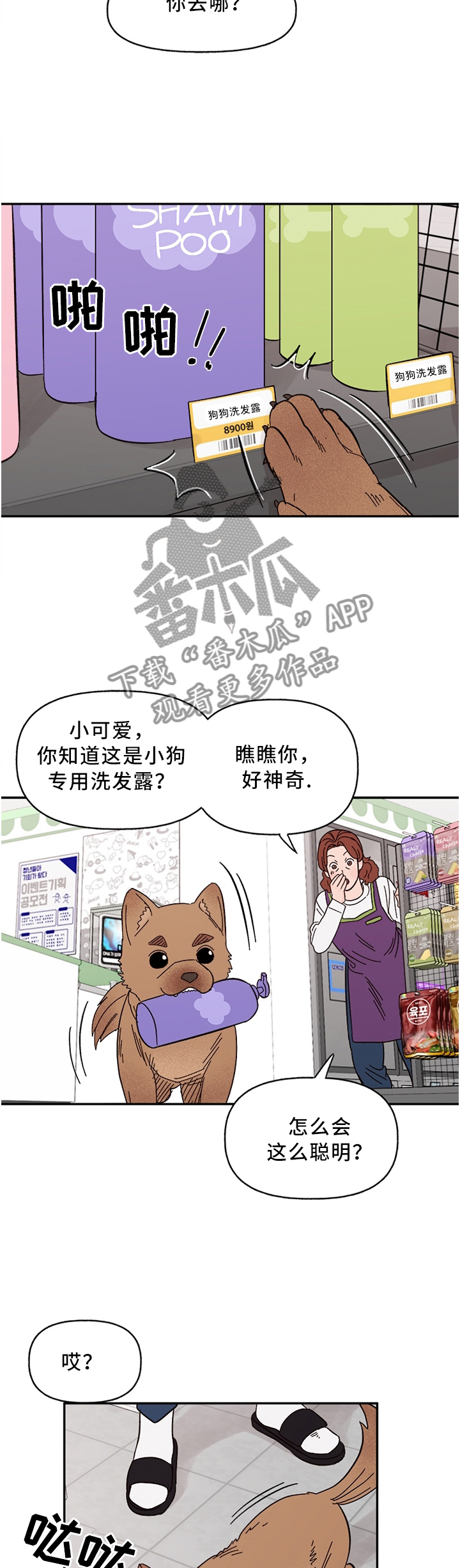 《爱宠攻略》漫画最新章节第63章：聪明的”狗”免费下拉式在线观看章节第【3】张图片