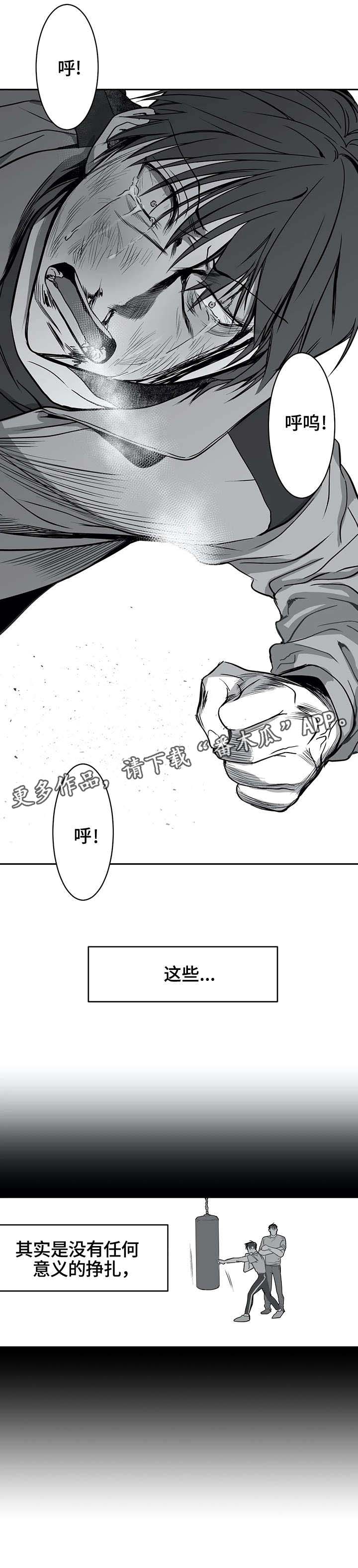 《拳击手》漫画最新章节第7章：面熟免费下拉式在线观看章节第【7】张图片