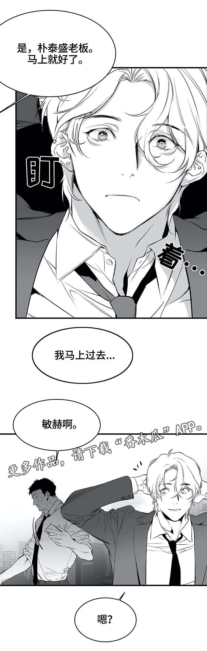 《拳击手》漫画最新章节第9章：新人免费下拉式在线观看章节第【3】张图片