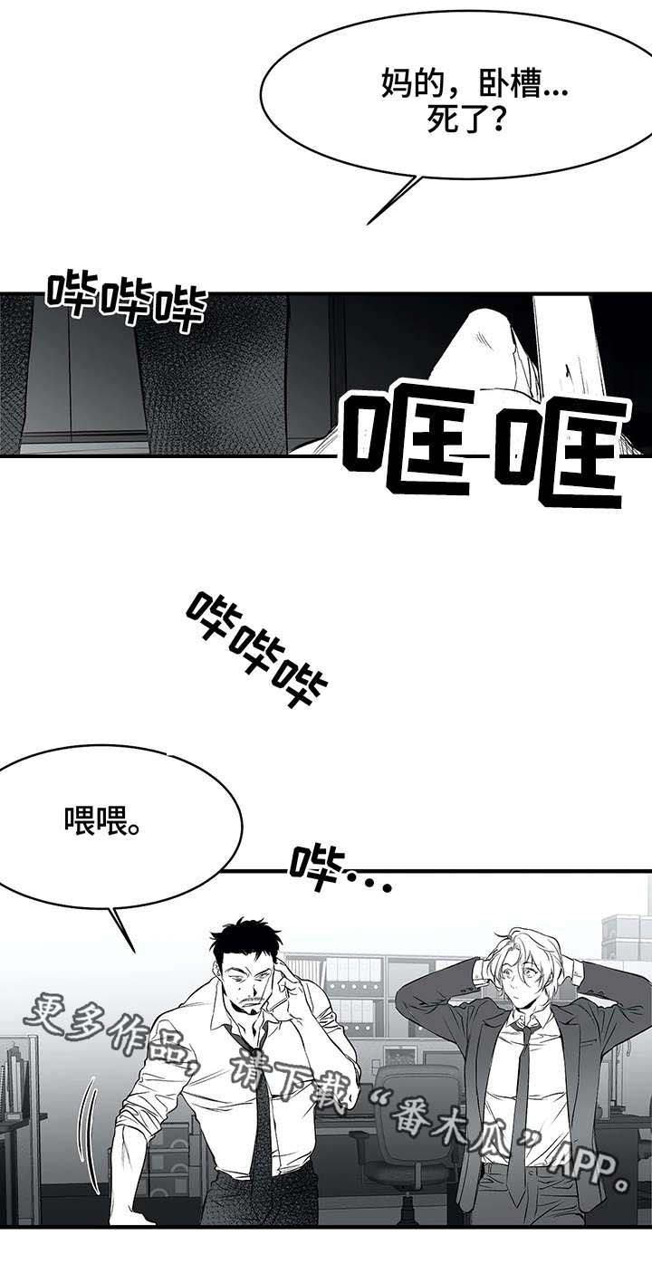 《拳击手》漫画最新章节第9章：新人免费下拉式在线观看章节第【4】张图片