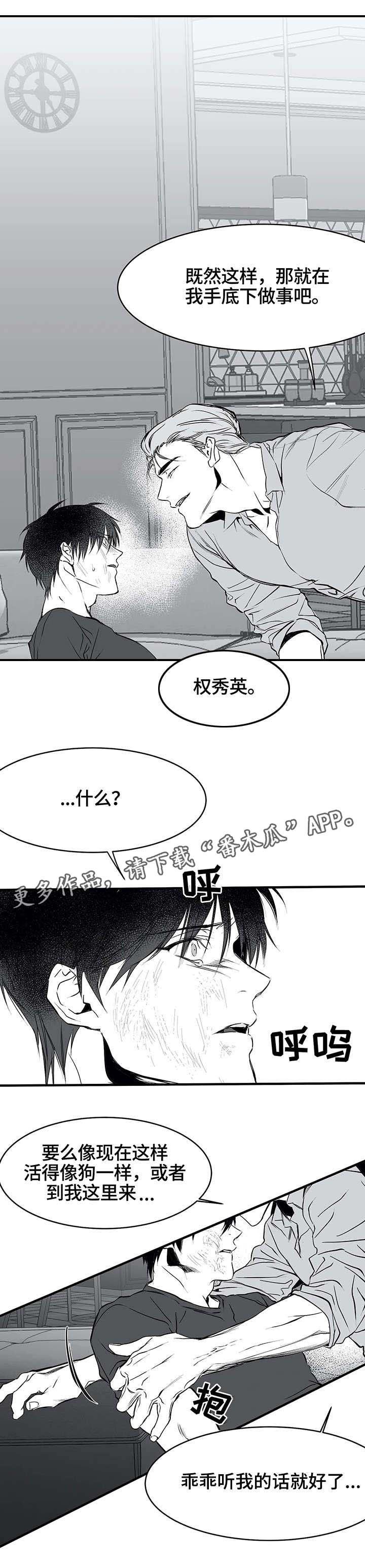 《拳击手》漫画最新章节第9章：新人免费下拉式在线观看章节第【11】张图片