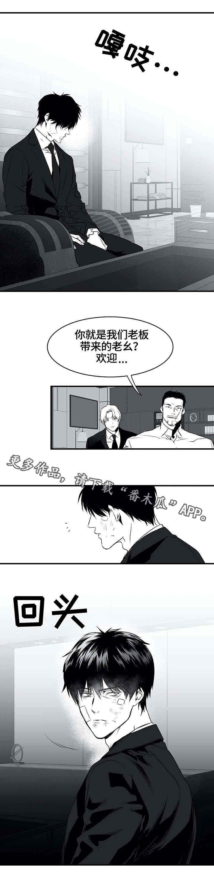 【拳击手】漫画-（第10章：黑帮）章节漫画下拉式图片-6.jpg