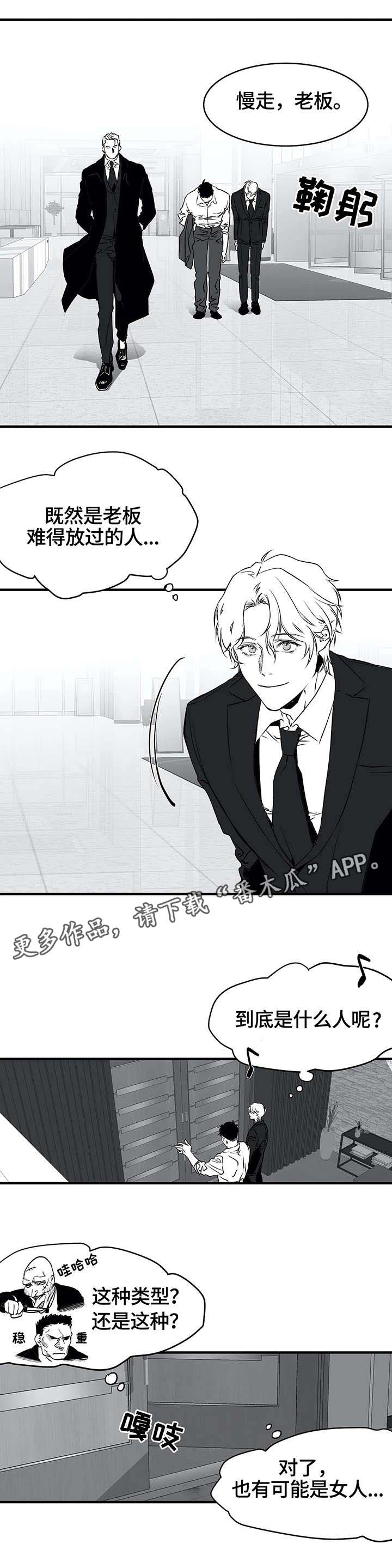 《拳击手》漫画最新章节第10章：黑帮免费下拉式在线观看章节第【7】张图片