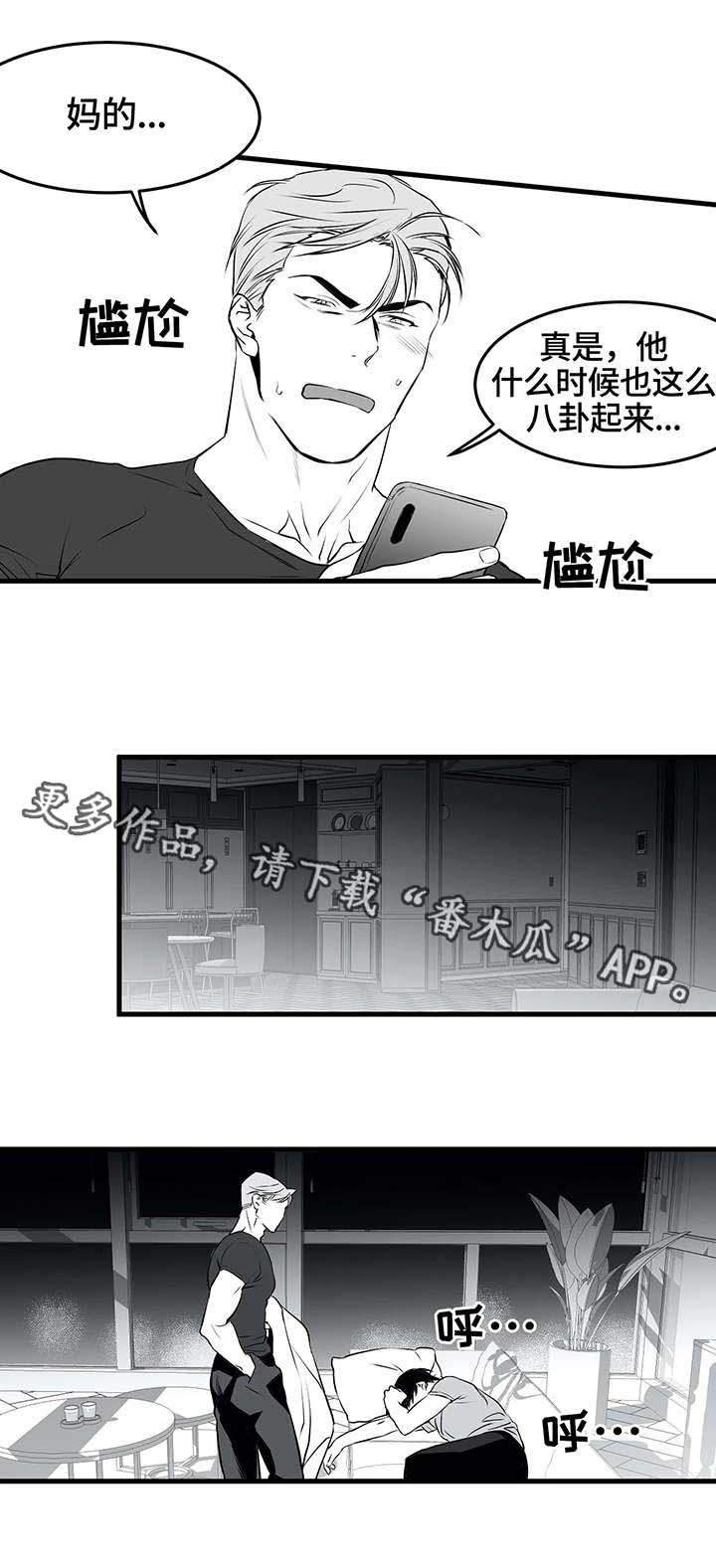 《拳击手》漫画最新章节第17章：八卦免费下拉式在线观看章节第【3】张图片