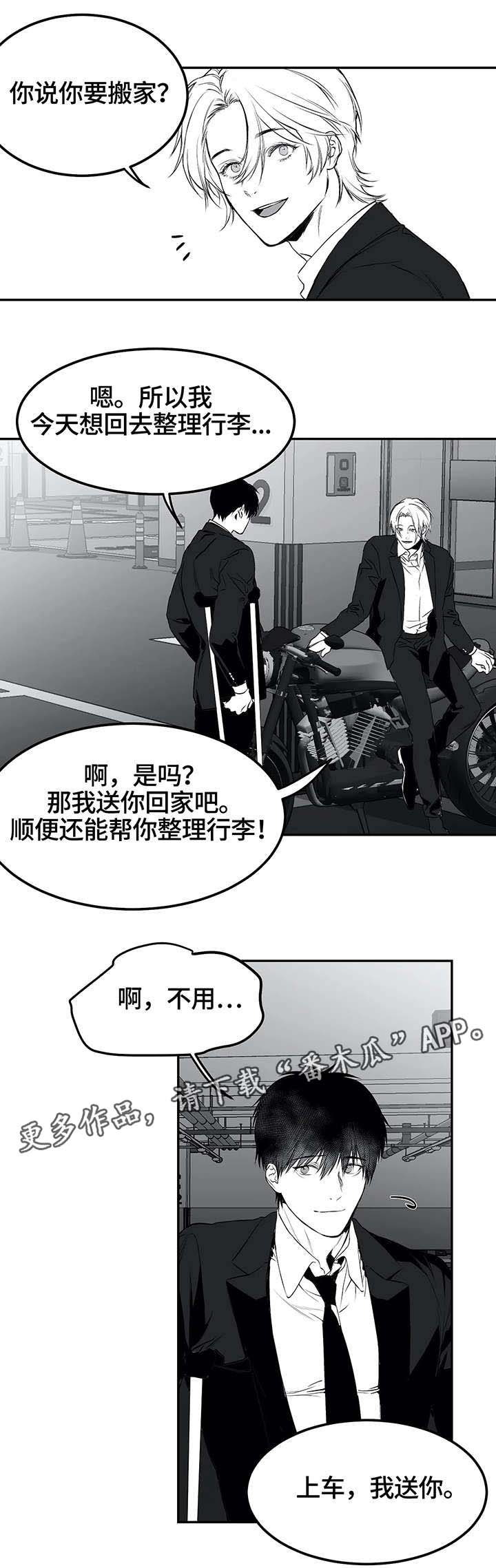 【拳击手】漫画-（第19章：组织）章节漫画下拉式图片-6.jpg