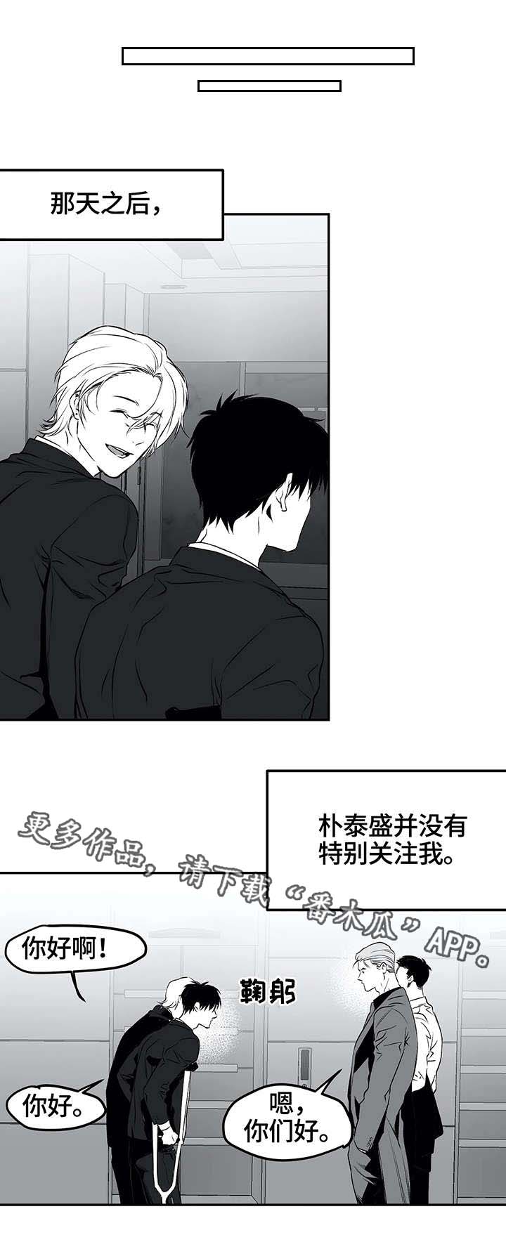 【拳击手】漫画-（第19章：组织）章节漫画下拉式图片-3.jpg