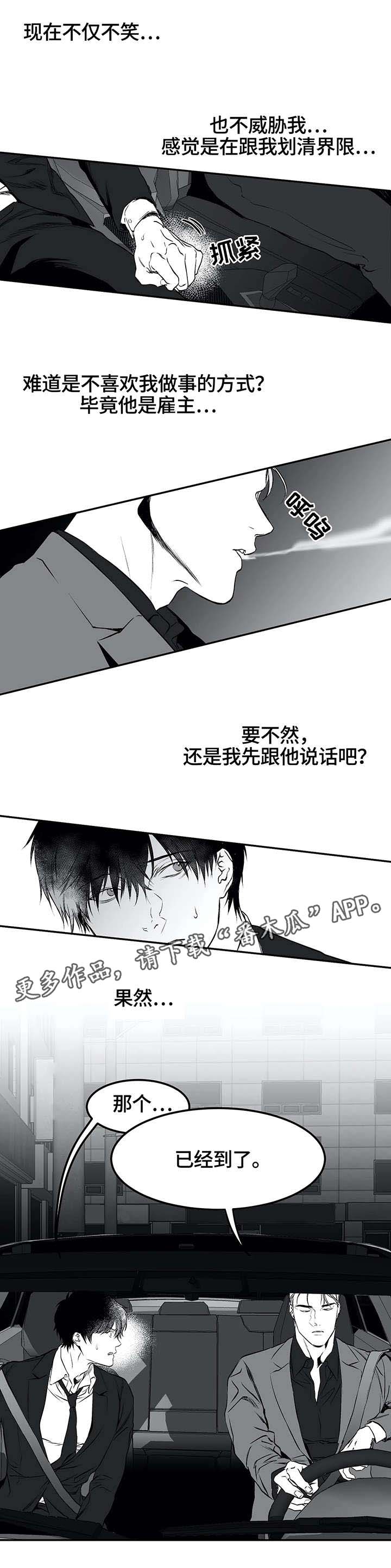 【拳击手】漫画-（第19章：组织）章节漫画下拉式图片-10.jpg