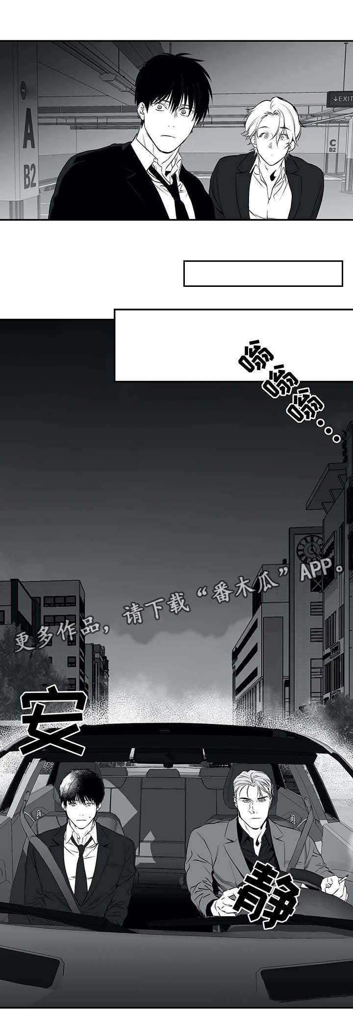 【拳击手】漫画-（第19章：组织）章节漫画下拉式图片-8.jpg