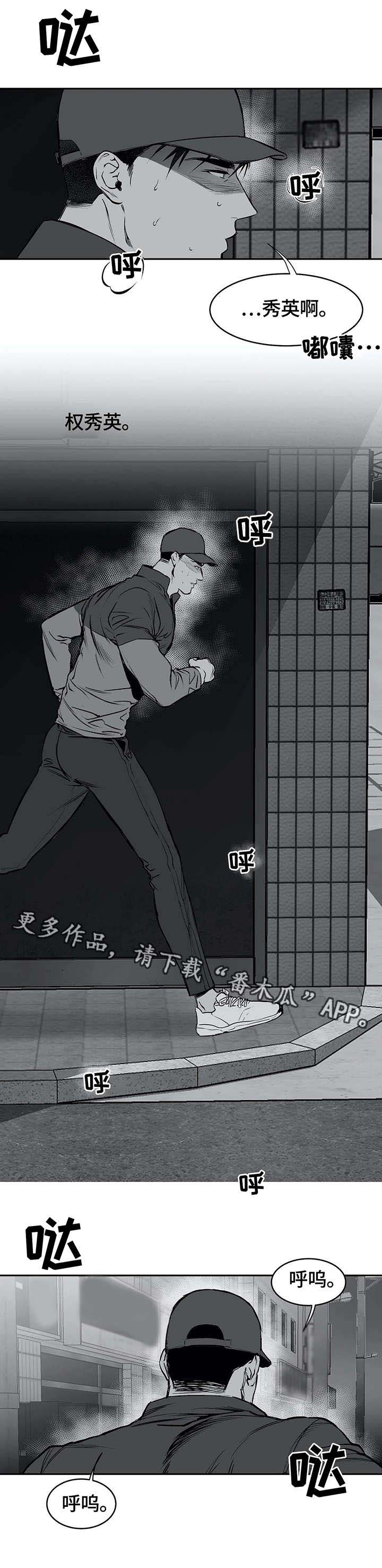 《拳击手》漫画最新章节第20章：相遇免费下拉式在线观看章节第【5】张图片