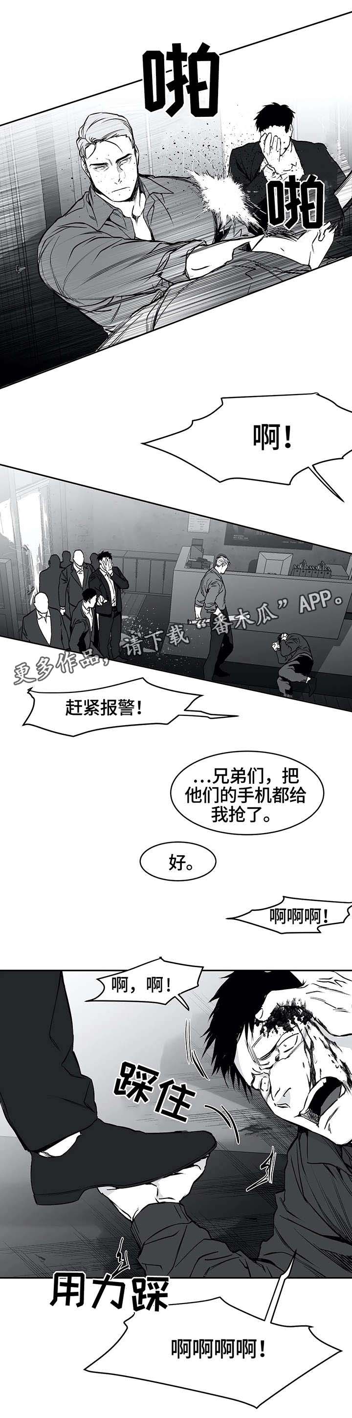 《拳击手》漫画最新章节第31章：打砸免费下拉式在线观看章节第【3】张图片