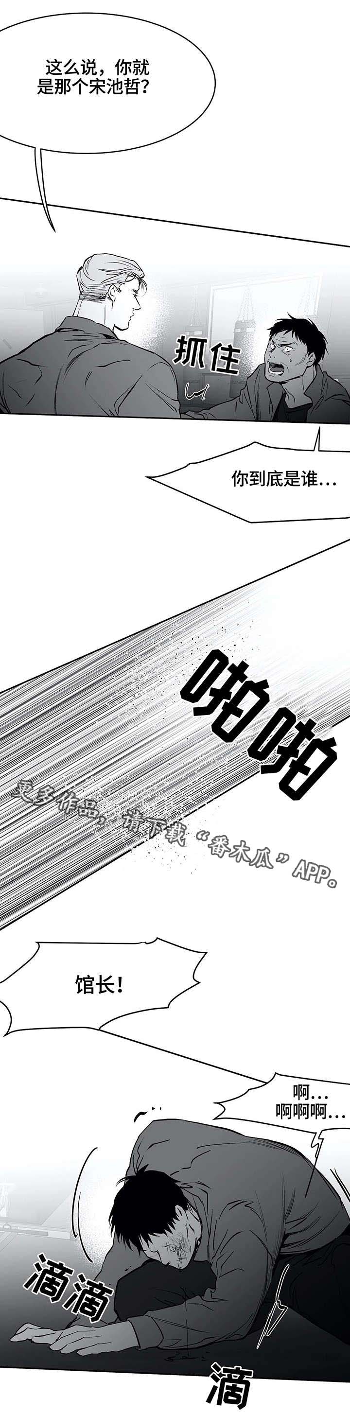 《拳击手》漫画最新章节第32章：报复免费下拉式在线观看章节第【10】张图片