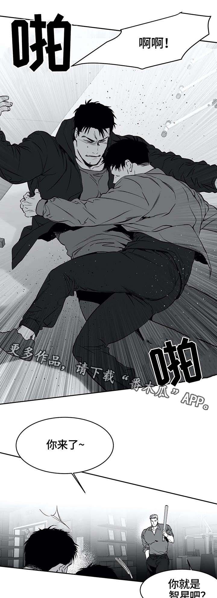 《拳击手》漫画最新章节第32章：报复免费下拉式在线观看章节第【6】张图片