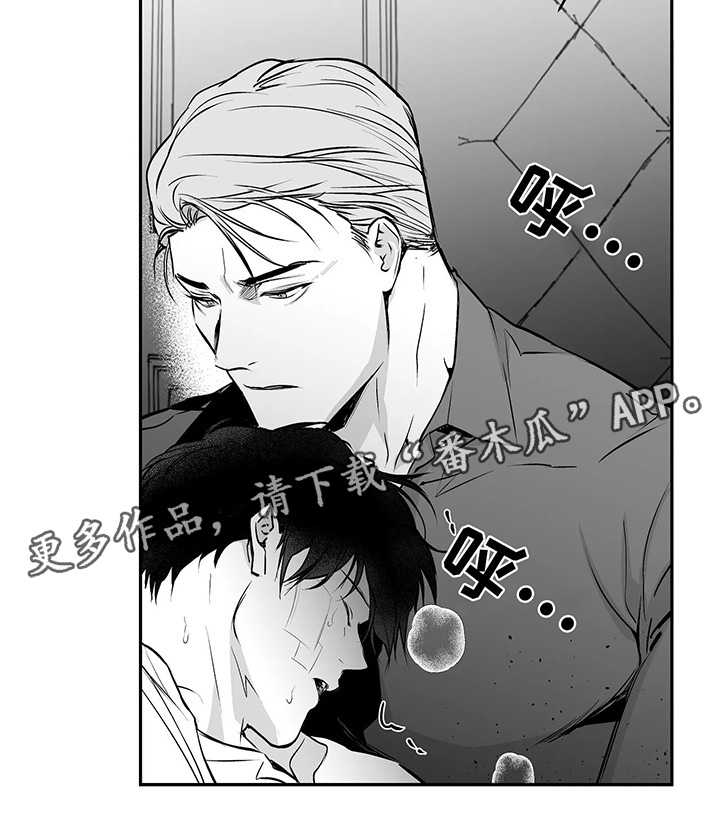 《拳击手》漫画最新章节第38章：不一样免费下拉式在线观看章节第【1】张图片