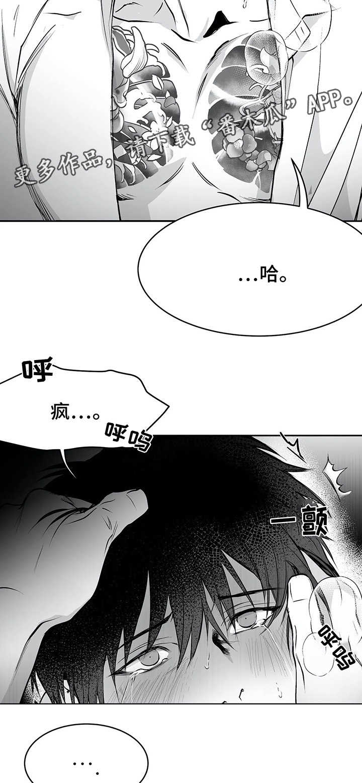 《拳击手》漫画最新章节第38章：不一样免费下拉式在线观看章节第【12】张图片