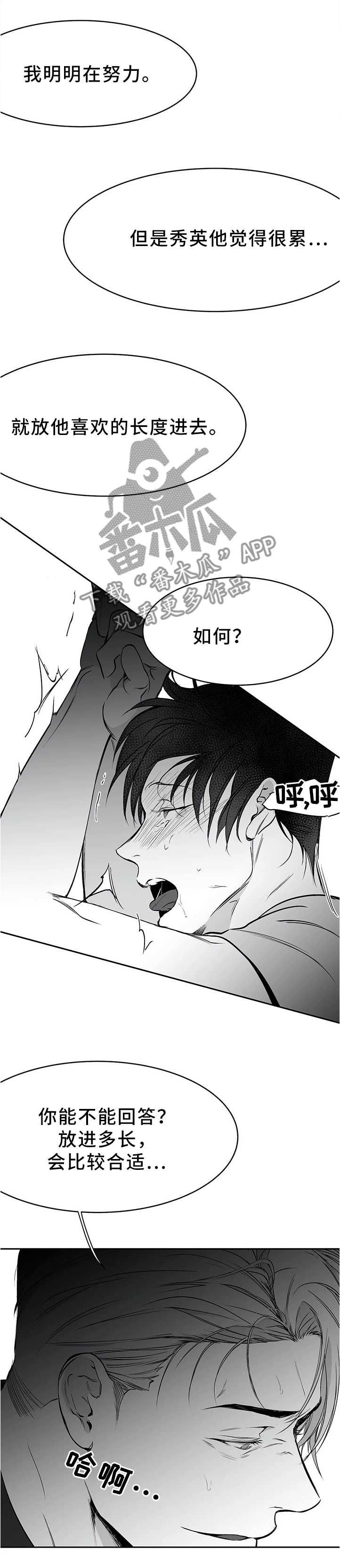 《拳击手》漫画最新章节第57章：如你所愿免费下拉式在线观看章节第【3】张图片