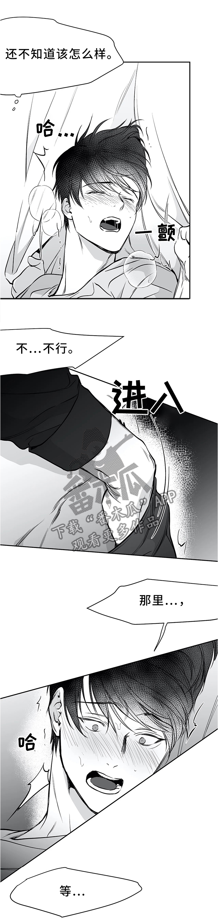 【拳击手】漫画-（第57章：如你所愿）章节漫画下拉式图片-1.jpg
